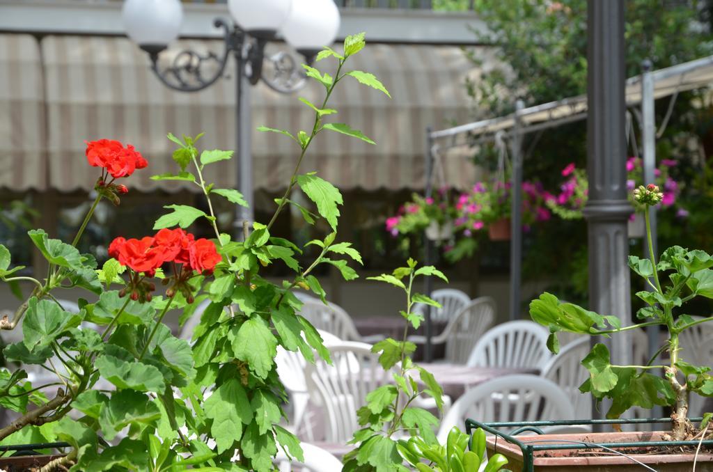 Hotel Monique Cervia Exterior photo